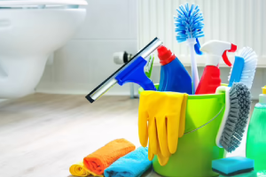 Messie Reinigung Pinneberg